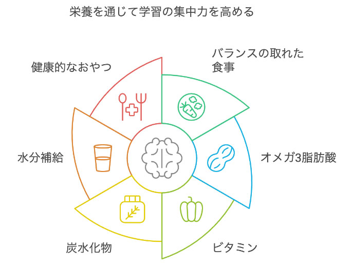 栄養を通じてがくしゅうの集中力を高める