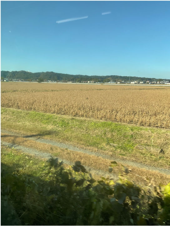 清々しい風と海辺の景色、田園風景